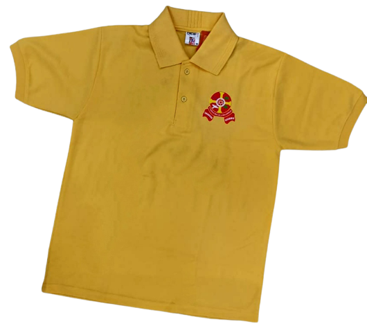biscoe_yellow_t_shirt